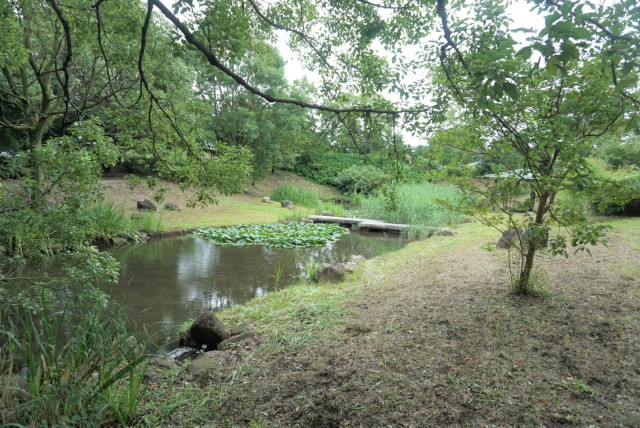 金目親水公園